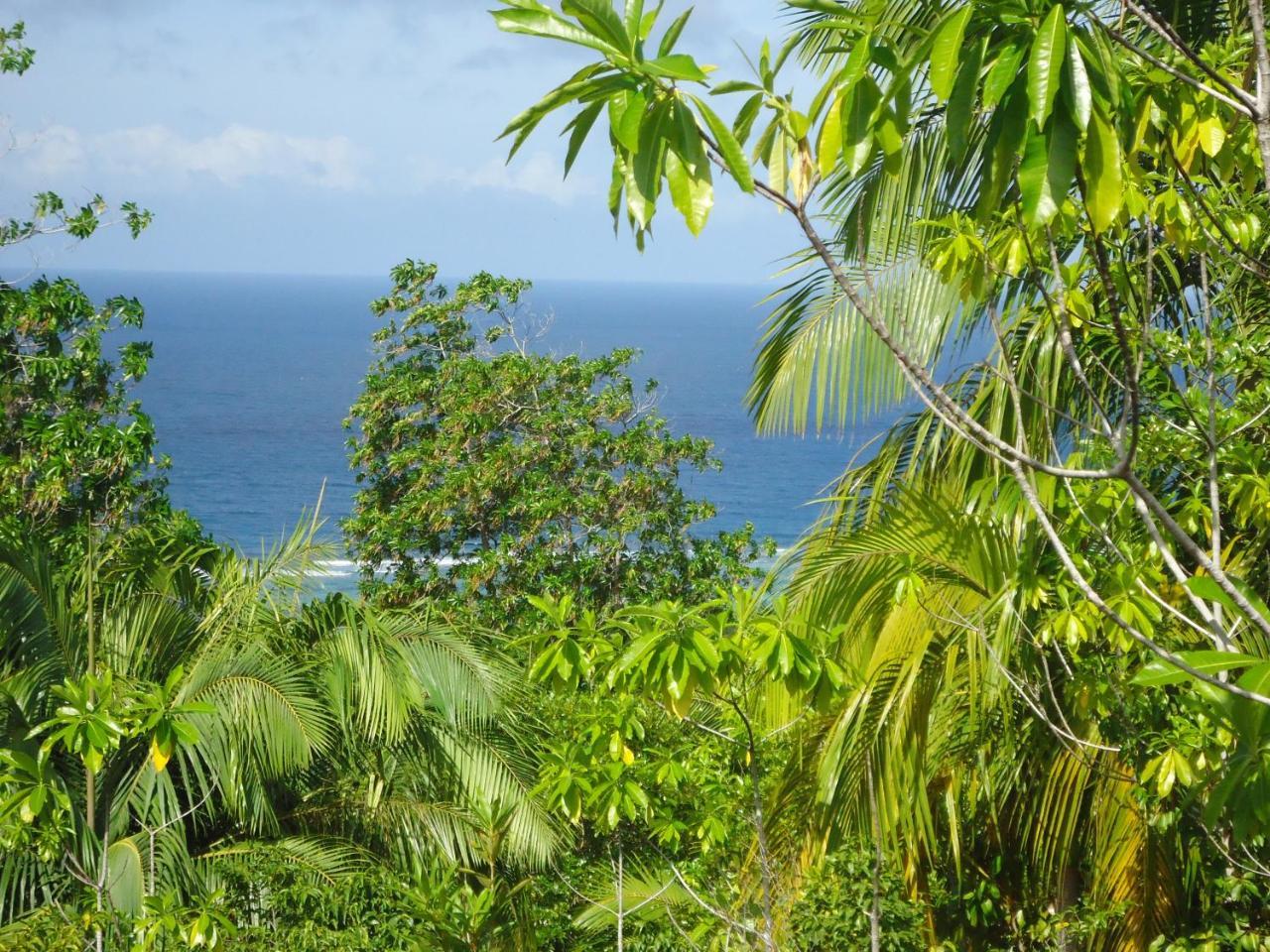 Bois Joli Villa Au Cap Buitenkant foto